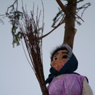 IMG_5537_jpg-1361139770