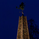 IMG_5602_jpg-1361139792