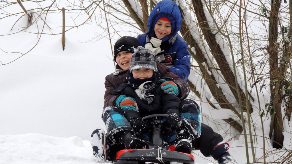 DSCN5569_JPG-1361140096