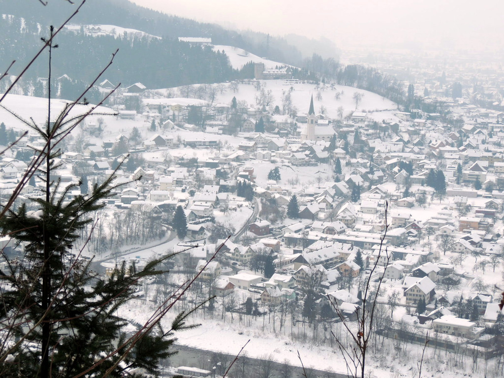 DSCN1412_JPG-1361140394