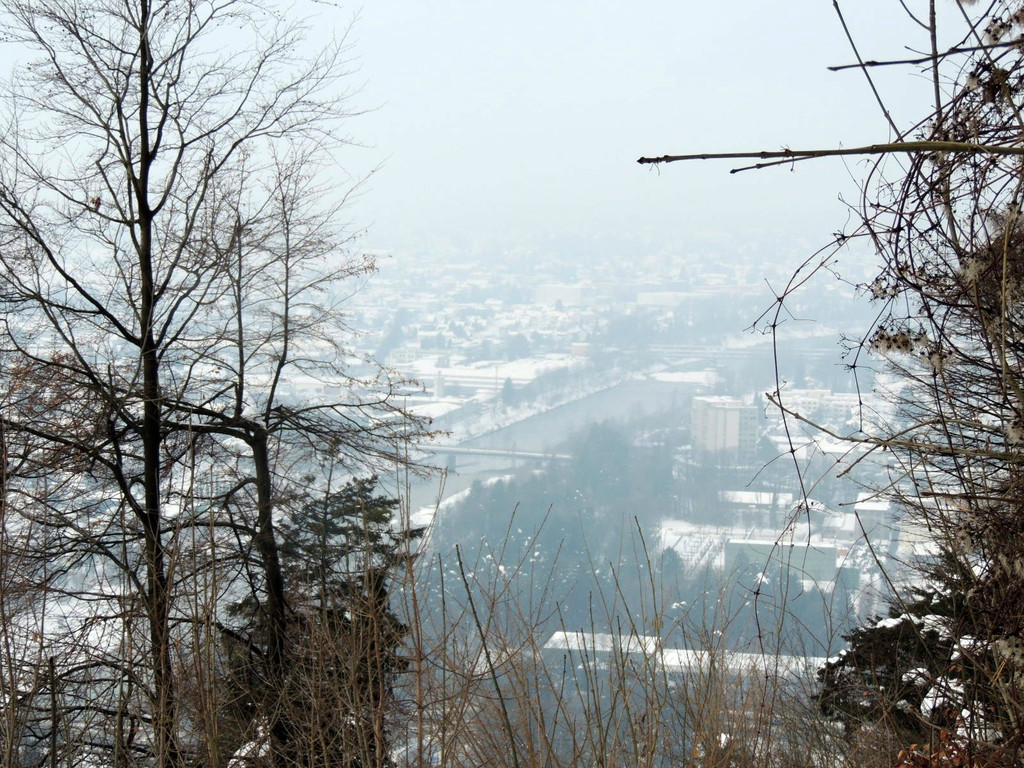 DSCN1402_JPG-1361140390