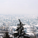 DSCN1401_JPG-1361140386