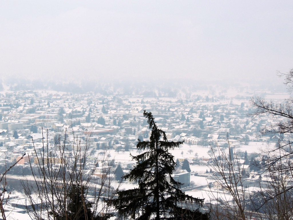 DSCN1401_JPG-1361140386