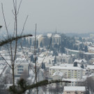 DSCN1544_JPG-1361140429