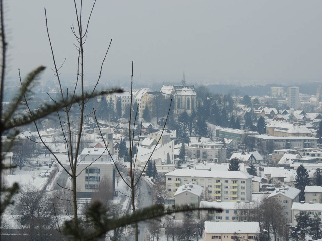 DSCN1544_JPG-1361140429