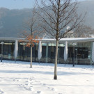 DSCN6236_JPG-1361140702