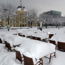 DSCN8706_JPG-1361140662