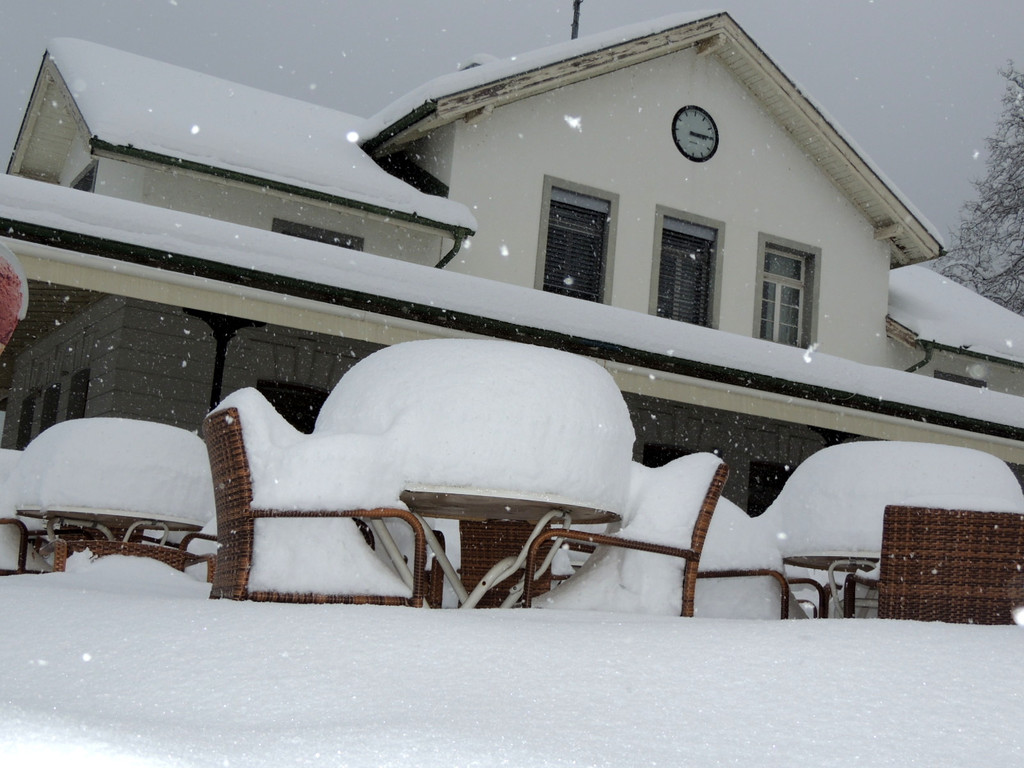 DSCN8727_JPG-1361140666