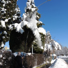 DSCN9863_JPG-1361143410