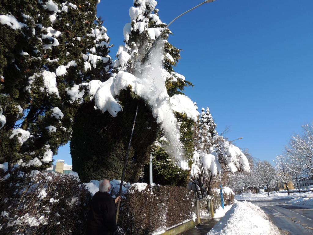 DSCN9863_JPG-1361143410