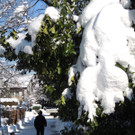 DSCN9875_JPG-1361143425