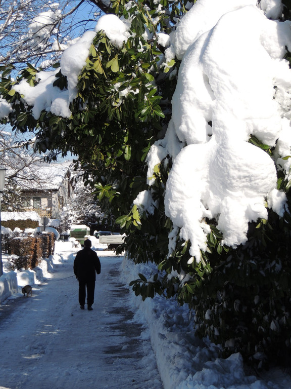 DSCN9875_JPG-1361143425