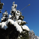 DSCN9861_JPG-1361143406