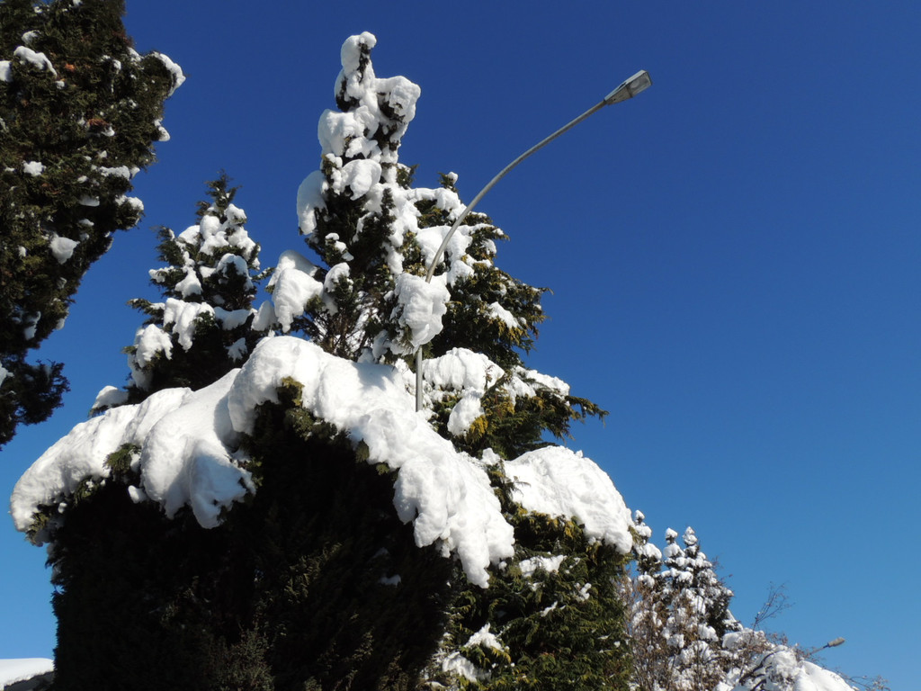 DSCN9861_JPG-1361143406