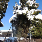 DSCN9869_JPG-1361143413