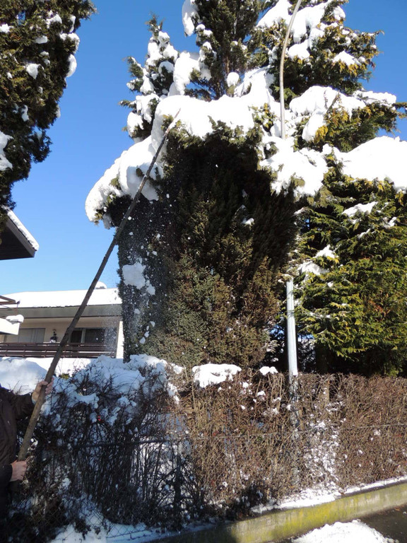 DSCN9869_JPG-1361143413