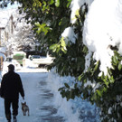 DSCN9874_JPG-1361143422