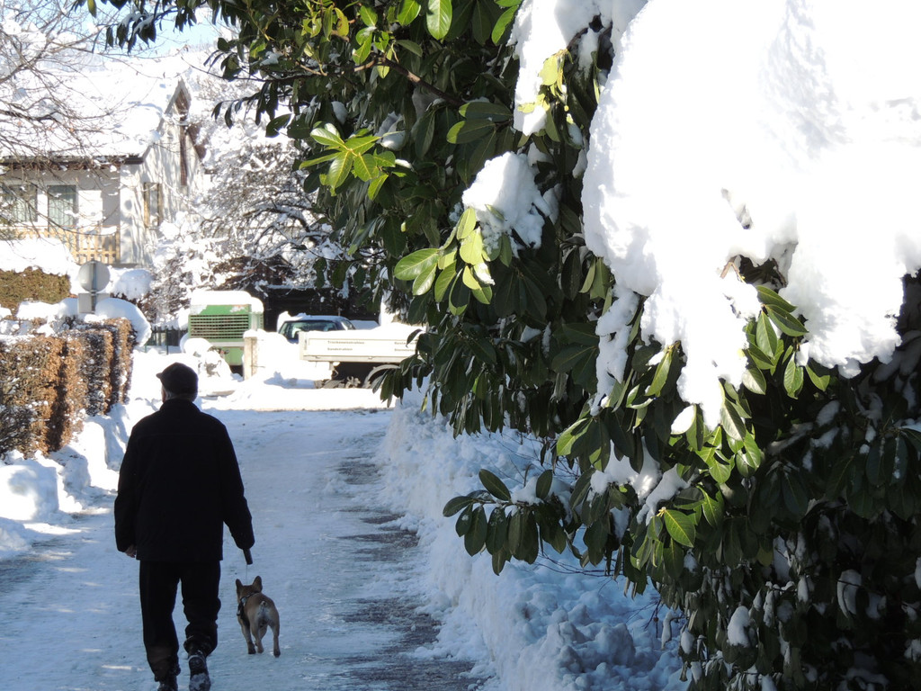 DSCN9874_JPG-1361143422