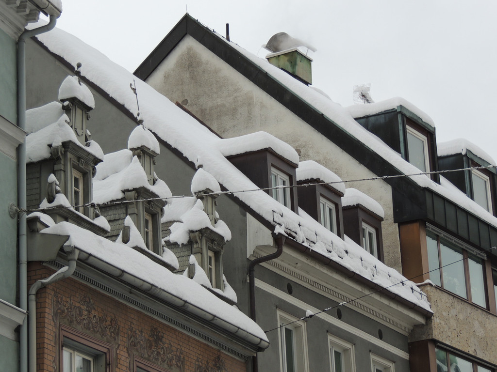 DSCN8663_JPG-1361145485