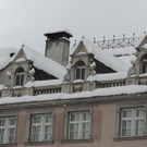 DSCN8657_JPG-1361145481