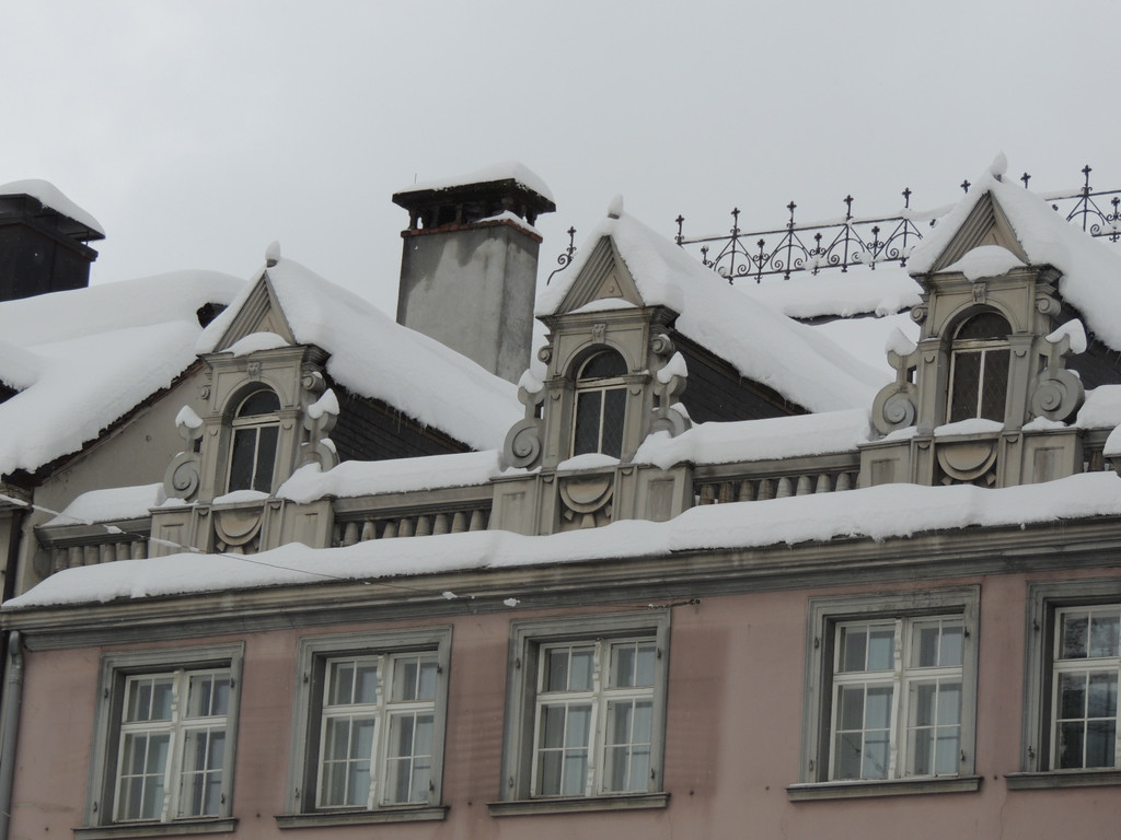 DSCN8657_JPG-1361145481