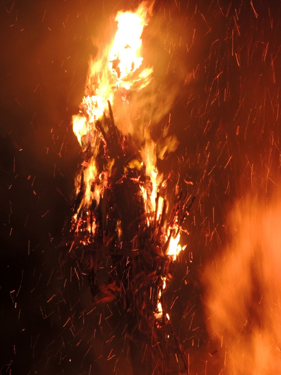 DSCN2031_JPG-1361148531