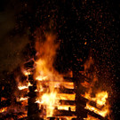 DSC02971.JPG