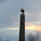 IMG_9797_JPG-1361173088