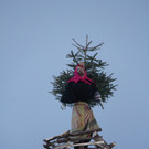 IMG_9799_JPG-1361173090