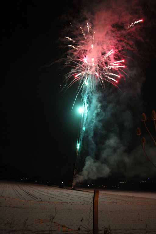 IMG_0003_JPG-1361173772