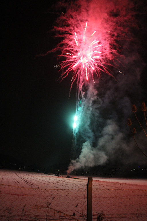 IMG_0006_JPG-1361173775