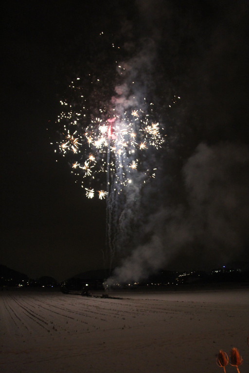 IMG_0014_JPG-1361173779