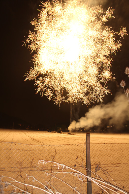 IMG_9989_JPG-1361173808