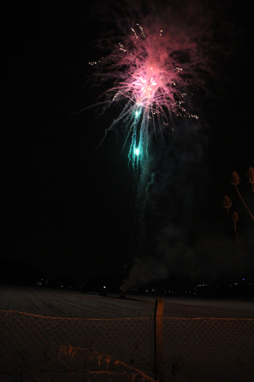 IMG_9993_JPG-1361173811