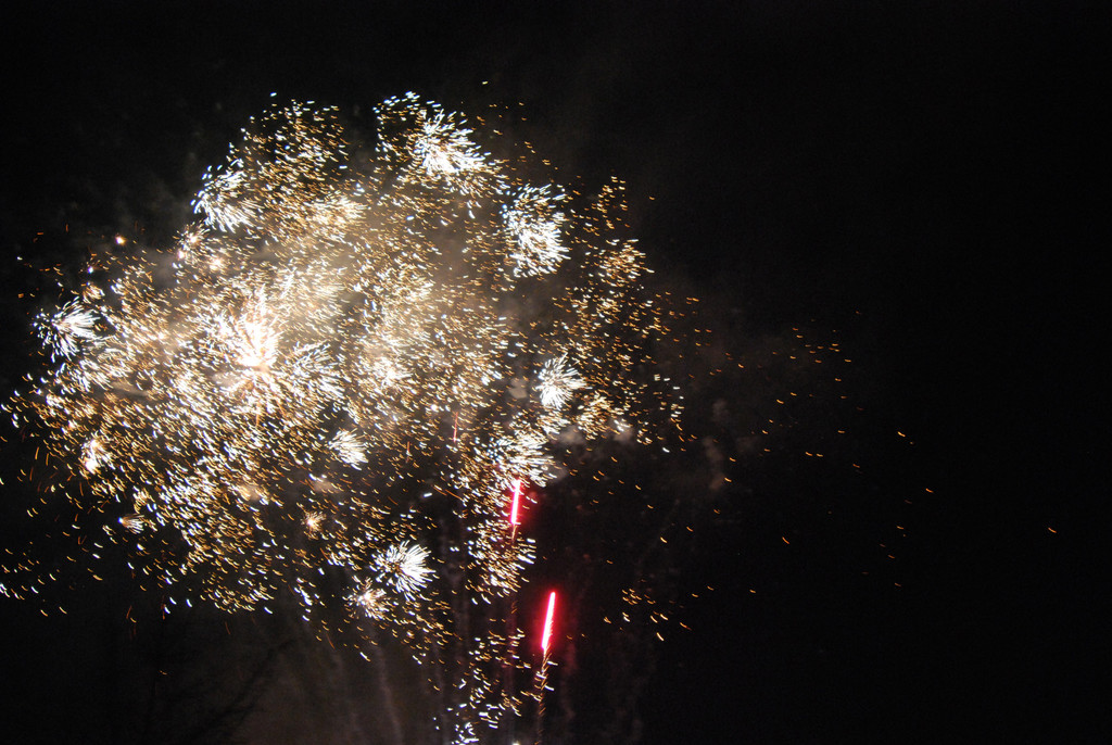 DSC_0118-1.jpg