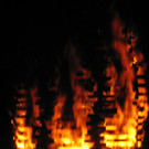 IMG_3176_JPG-1361178828
