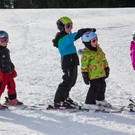 2013_MG_5101_18cm.jpg