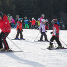 2013_MG_5144_18cm.jpg