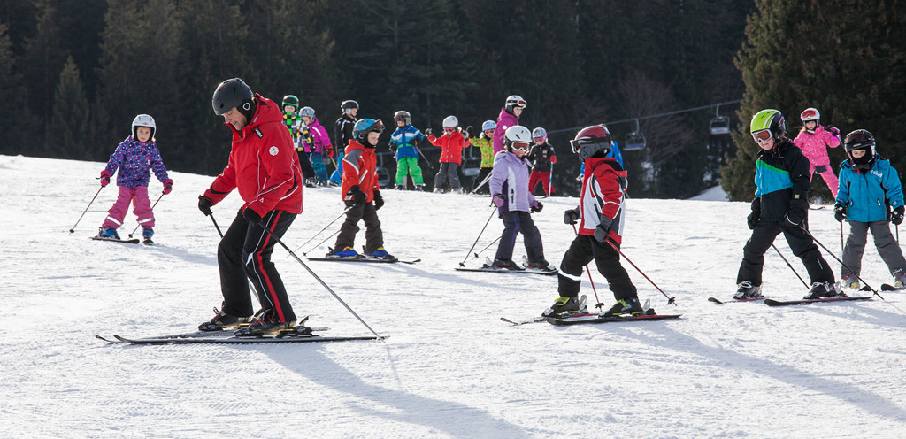 2013_MG_5144_18cm.jpg