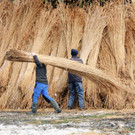 Funken Fu__ach Tag 17-02-2013 157_jpg-1361181471