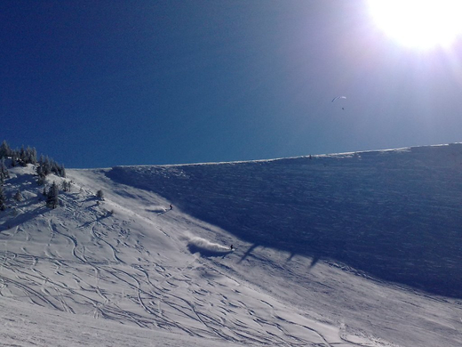 21022010048.jpg