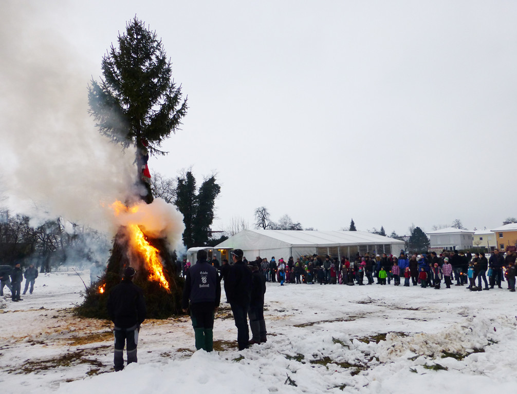 Erlach8a_jpg-1361184776