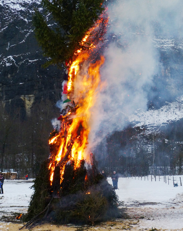 Erlach8b_jpg-1361184788