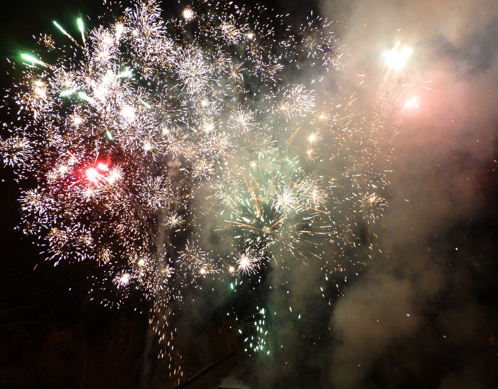 Erlach10a_jpg-1361184880