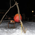 DSC08812.JPG