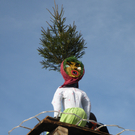 DSCN8668.JPG