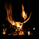 DSC08840.JPG
