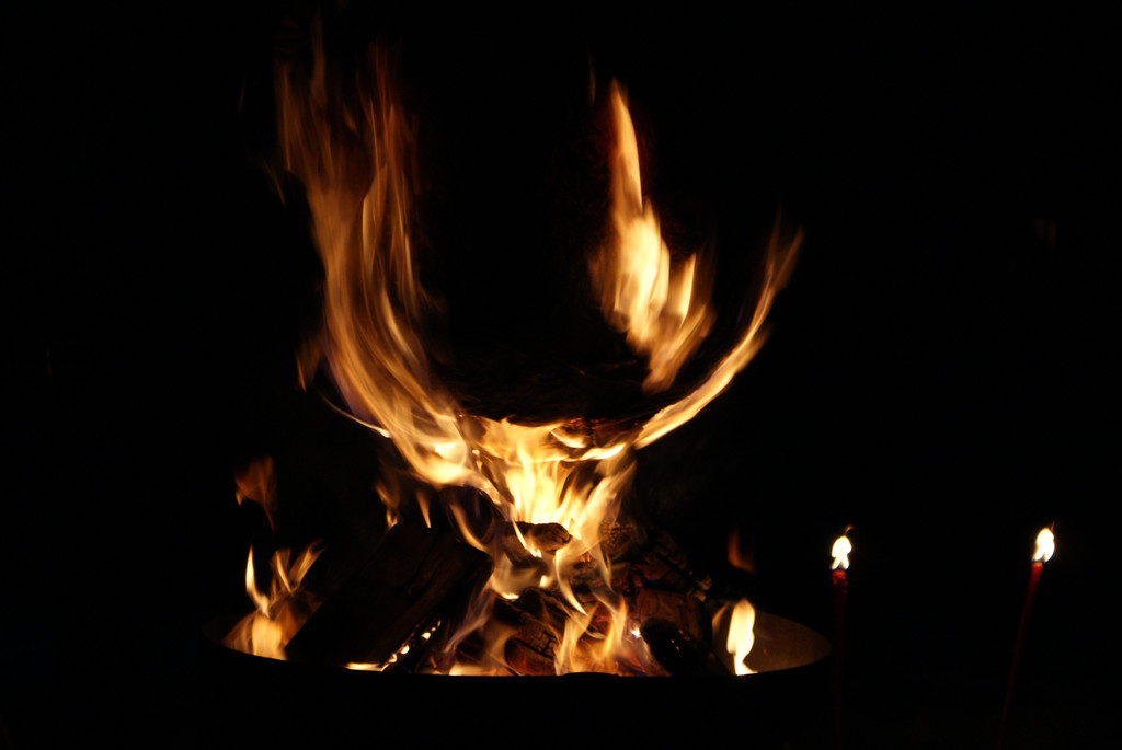 DSC08840.JPG