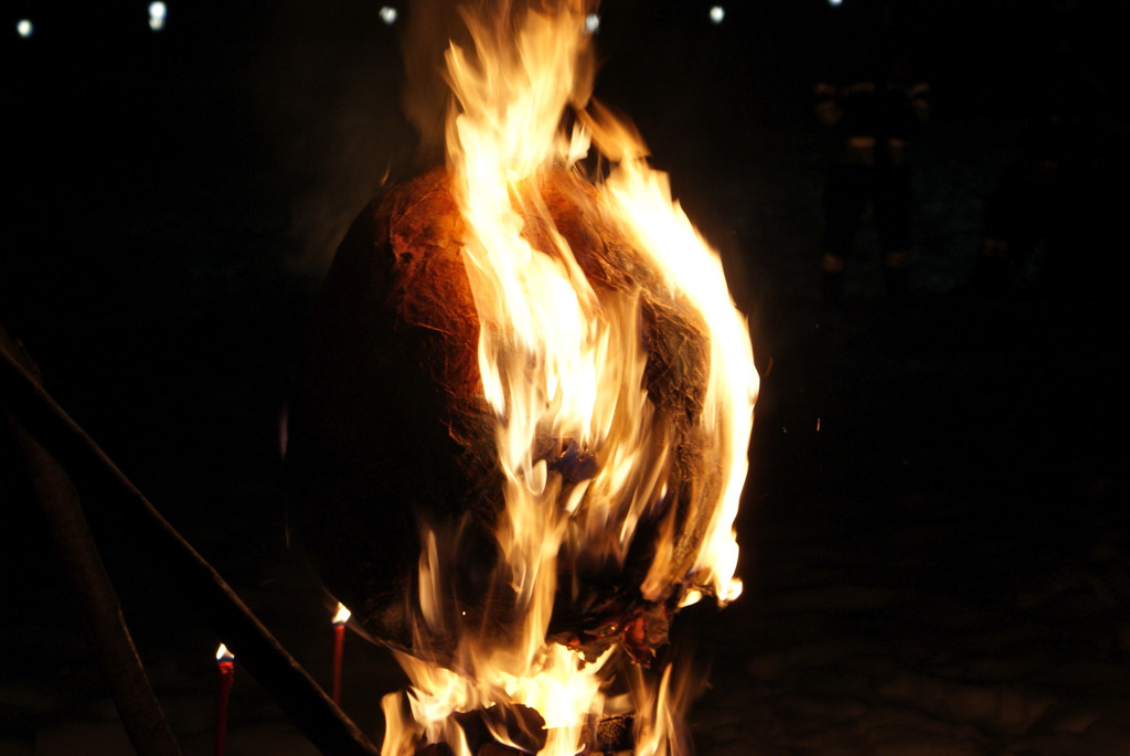 DSC08841.JPG
