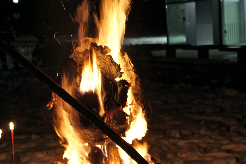 DSC08845.JPG